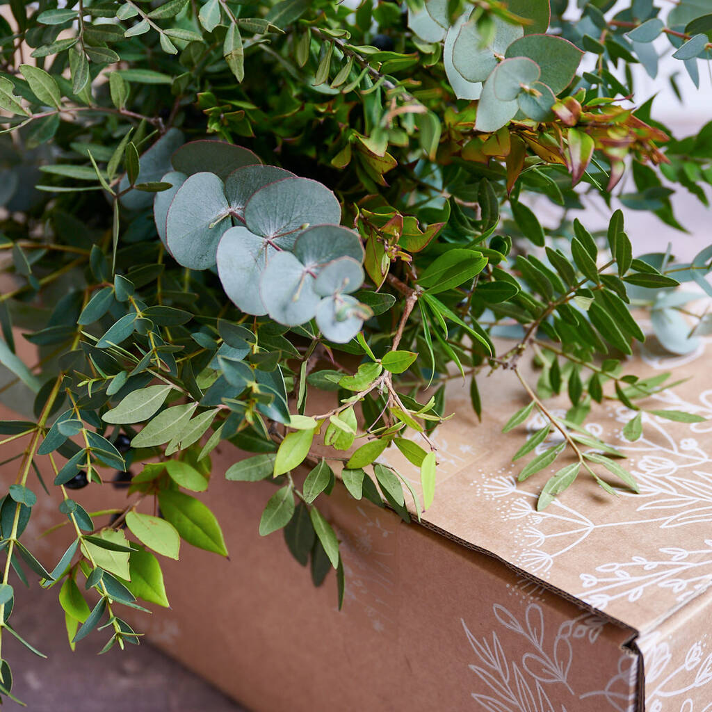 The Foliage And Herb Arranging Craft Box, 1 of 3