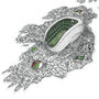 The Home Nations! Rugby Grounds Of The UK And Ireland, thumbnail 4 of 6