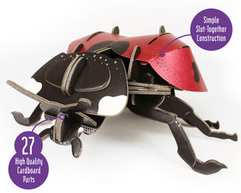 Build Your Own Ladybird, 9 of 12