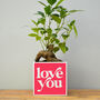 'Love You' Valentine's Plant Pot And Houseplant, thumbnail 2 of 7