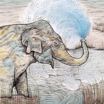'Splashing Elephant' Print, 3 of 3