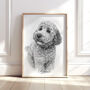 Personalised Black And White Pencil Sketch Pet Portrait, thumbnail 5 of 12