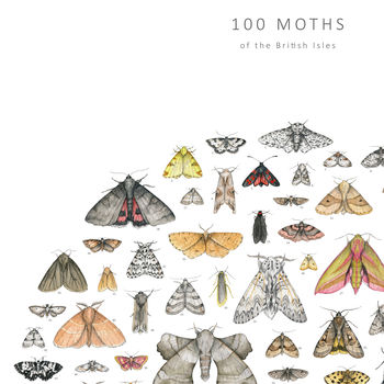100 Moths Natural History Poster, 2 of 5