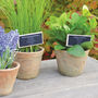 Terracotta Plant Pot, thumbnail 3 of 3