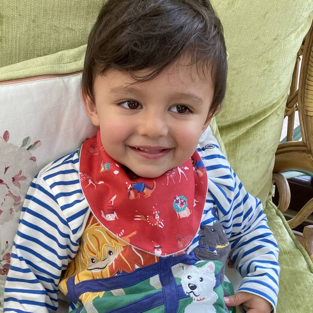 Christmas Baby Gift Bib, 1 of 3