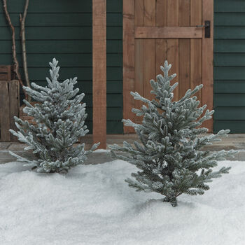 Two 3ft Dual LED Snowy Outdoor Christmas Tree Stakes, 3 of 4