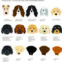 Personalised Favourite Human Dog Print, thumbnail 4 of 12
