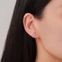 Sterling Silver Little Fern Leaf Stud Earrings, thumbnail 6 of 12