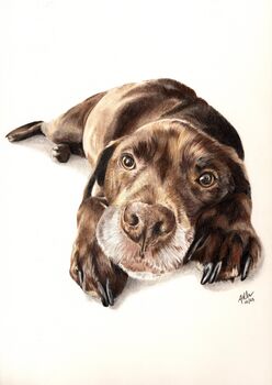 Personalised Hand Drawn Pet Portrait Made To Order, 4 of 7