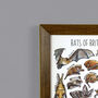 Bats Of Britain Wildlife Print, thumbnail 3 of 8