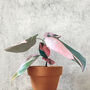 Mini Philodendron Pink Princess Potted Paper Plant, thumbnail 2 of 6