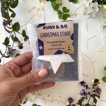 Christmas Star Plantable Paper Grow Kit, 3 of 5
