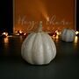 Ceramic White Squash Halloween Decoration 13cm, thumbnail 1 of 2