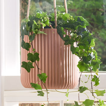 Roma Ribbed Terracotta Hanging Planter, 3 of 7