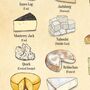 Cheese Alphabet, A Z Of Cheese, Cheese Art, thumbnail 8 of 11