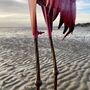 Metal Pink Flamingos For Garden, thumbnail 5 of 7