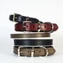 Padded Leather Dog Collar, thumbnail 6 of 9
