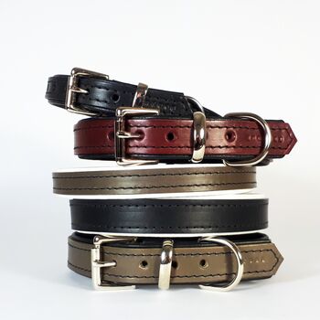 Padded Leather Dog Collar, 5 of 9