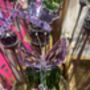 Crystal And Steel Butterfly Garden Stake, thumbnail 4 of 12