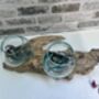 Teak Root Wooden Display With Double Molten Glass Bowls, thumbnail 5 of 11