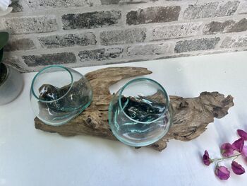 Teak Root Wooden Display With Double Molten Glass Bowls, 5 of 11