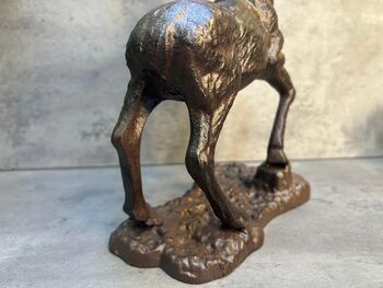 33cm Heavy Cast Iron Deer Figurine Standing Stag On Plinth, 4 of 9
