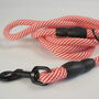 Red And White Stripped Rope Dog Lead, thumbnail 7 of 12