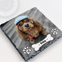 Personalised Dog Photo Slate Gift With Professional Photo Editing For Dog Mums And Dads, thumbnail 2 of 6