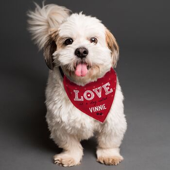 Personalised Love Is Dog Bandana, 2 of 3