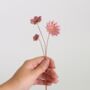 Ceramic Fuchsia Flower Stems Set In Three Styles, thumbnail 2 of 8