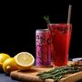 'Berry Hop' Healthy Soft Drink Acv Seltzer Pack, thumbnail 5 of 12