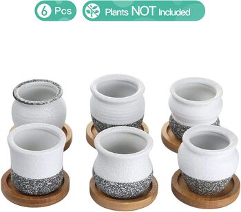 Set Of Six Ceramic Mini Planter Pots With Bamboo Tray, 2 of 3