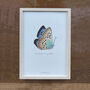 Large Blue Illustrated Butterfly Print, thumbnail 2 of 3