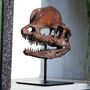 Dilophosaurus 3D Replica Dinosaur Skull Model, thumbnail 1 of 4