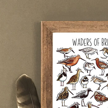 Waders Of Britain Wildlife Print, 2 of 5