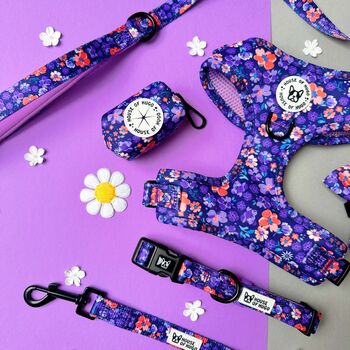 Ditsy Floral Padded Dog Lead Dog Leash, 8 of 8