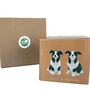 Border Collie Ceramic Salt And Pepper Shaker Set, thumbnail 7 of 7