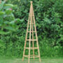 Large Wooden Garden Obelisk, thumbnail 1 of 3