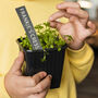 Personalised Slate Plant And Herb Marker, thumbnail 1 of 2