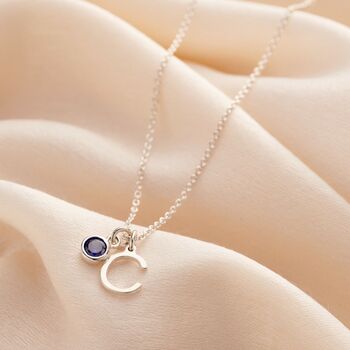 Birthstone And Initial Letter Charm Necklace, 6 of 7