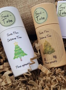 Grow Your Own Christmas Tree Gift Set, 2 of 5
