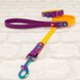 Waterproof Dog Collar And Lead Set Peach/Warm Purple, thumbnail 1 of 3