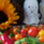 Soup Seedtubes, thumbnail 6 of 6