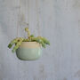 Handmade Stone Hanging Ceramic Planter, thumbnail 8 of 9