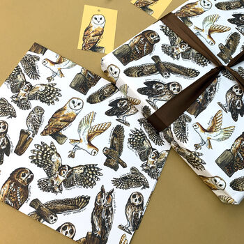 Owls Of Britain Wrapping Paper Set, 6 of 8