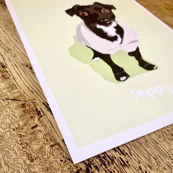Personalised Hand Drawn Colour Pet Portrait, 8 of 11