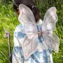 Fairies In The Garden Fairy Wings, thumbnail 1 of 5