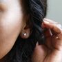 Swarovski Crystal Stud Earrings, thumbnail 1 of 10