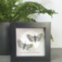 Personalised Two Moths And Moon Artwork, thumbnail 9 of 10