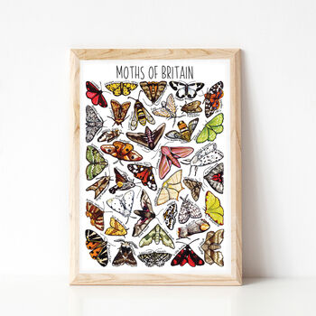 Moths Of Britain Wildlife Print, 9 of 10